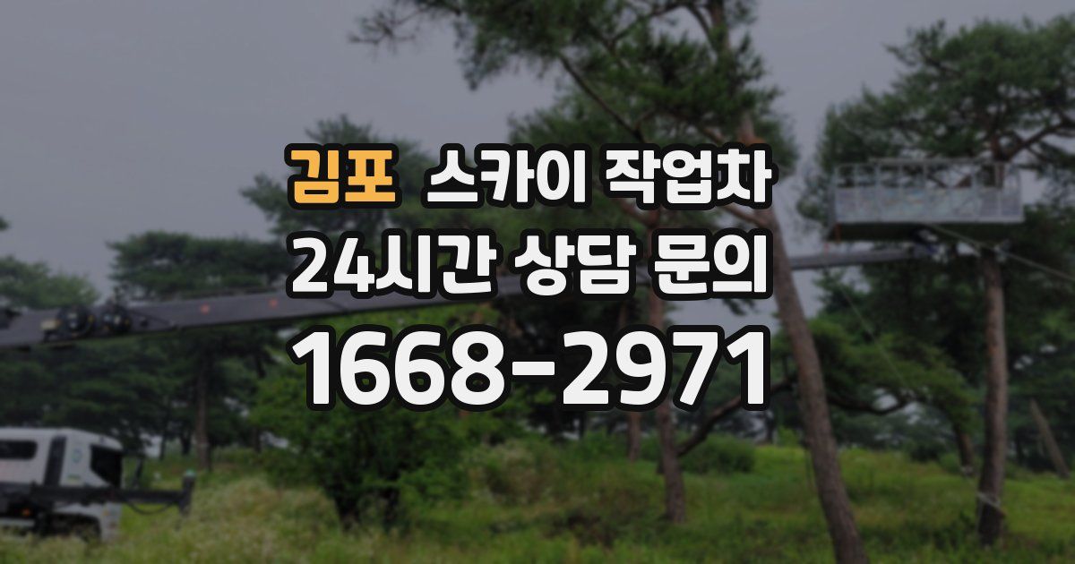 김포 스카이 작업차