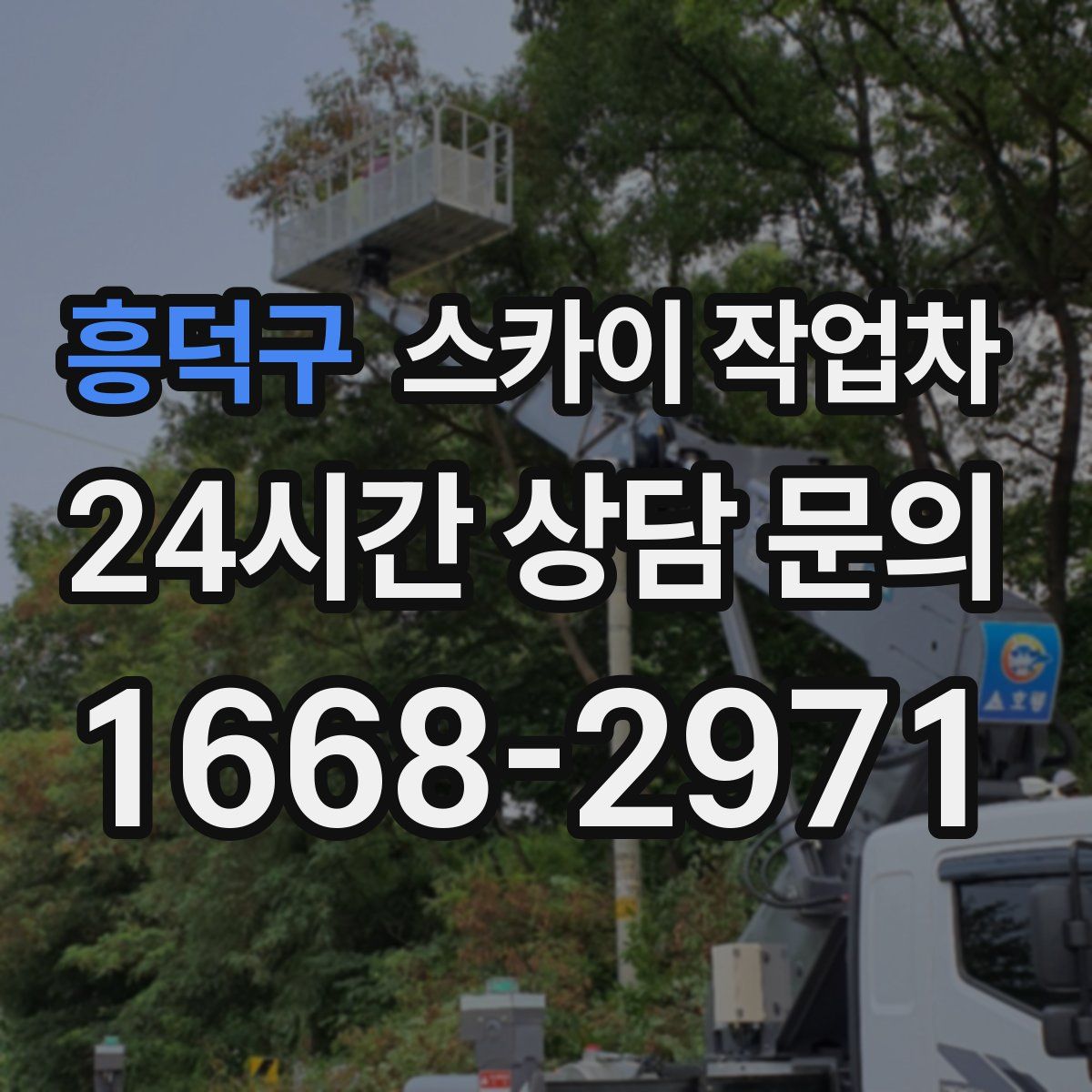 흥덕구 스카이 작업차