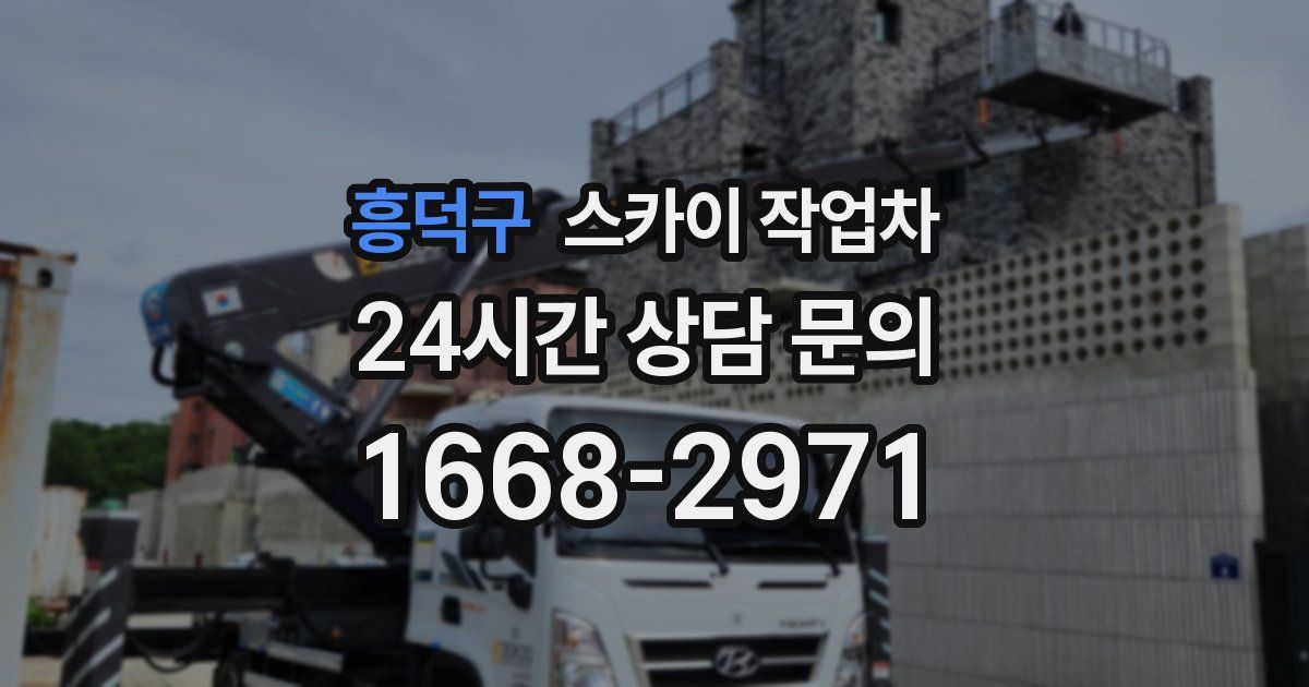 흥덕구 스카이 작업차