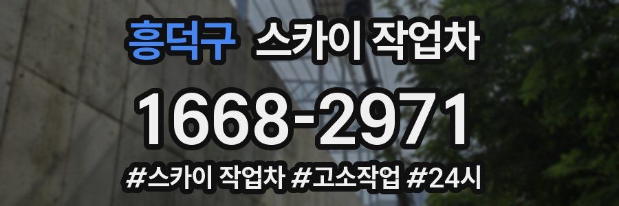 흥덕구 스카이 작업차