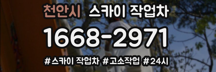 천안시 스카이 작업차