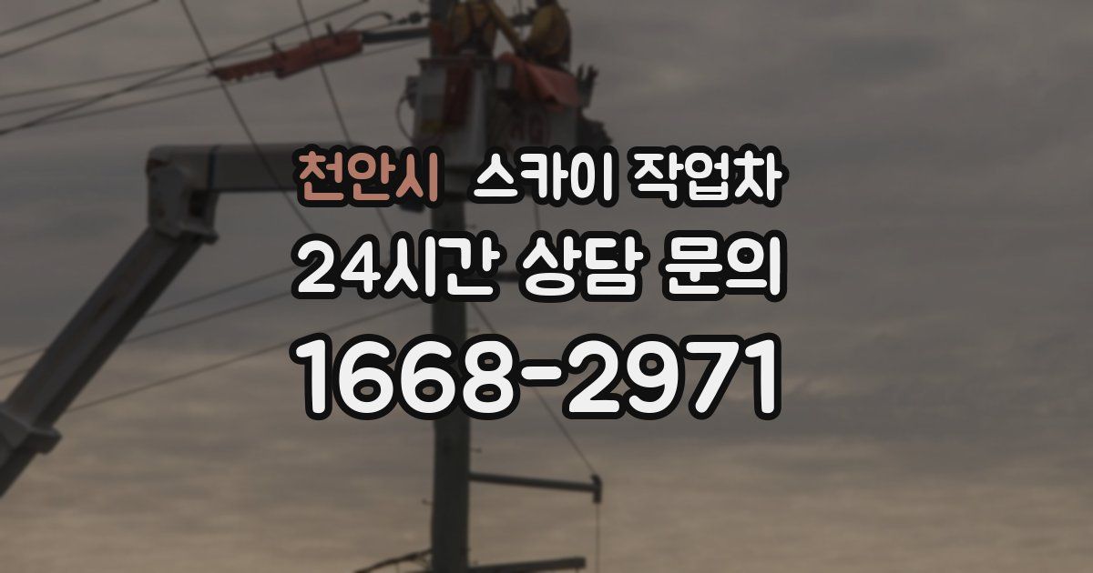 천안시 스카이 작업차