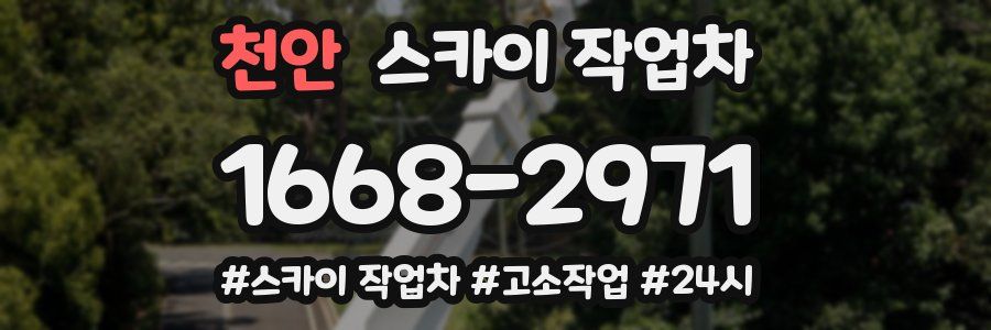 천안 스카이 작업차