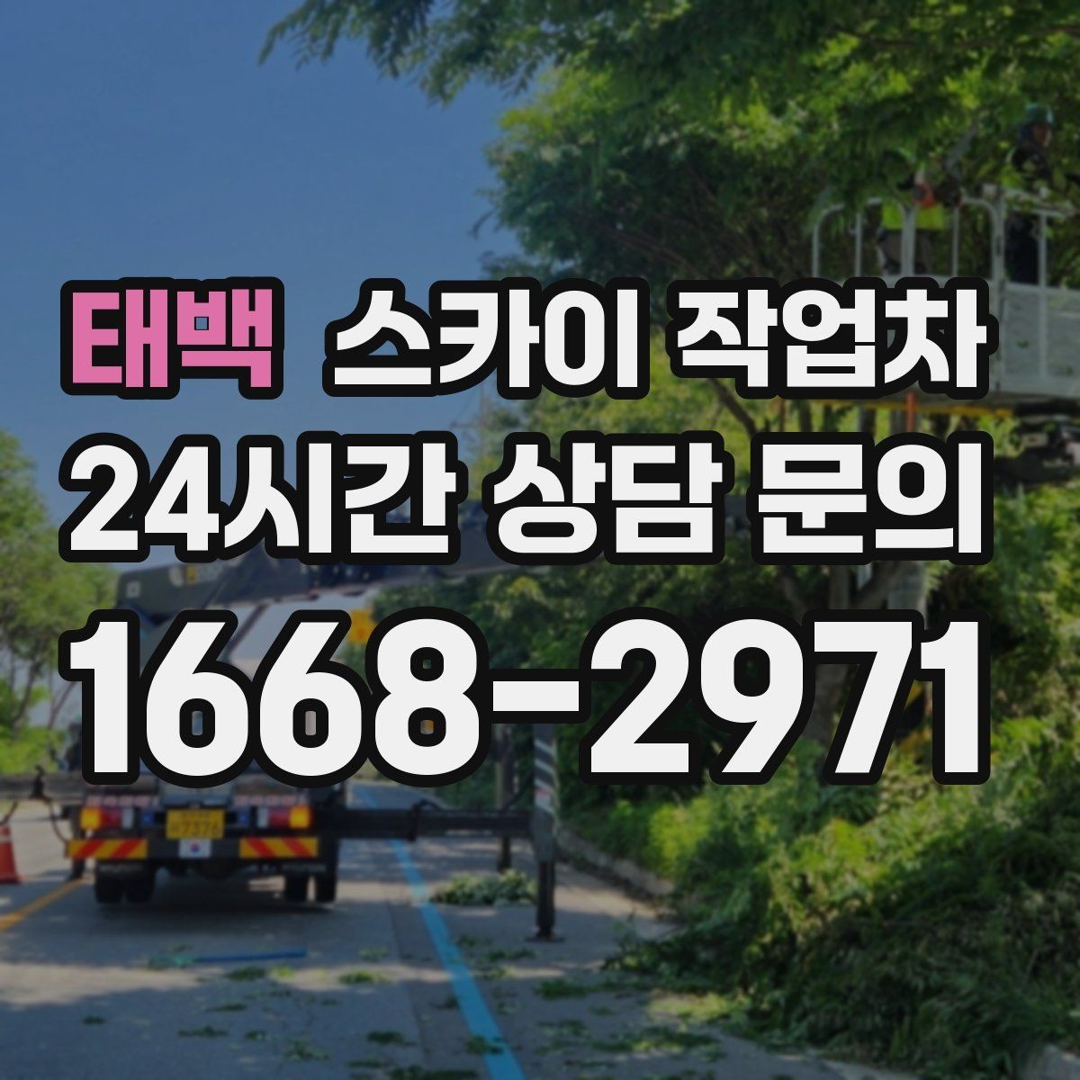 태백 스카이 작업차 외벽 배수구 주변 고소 청소 작업