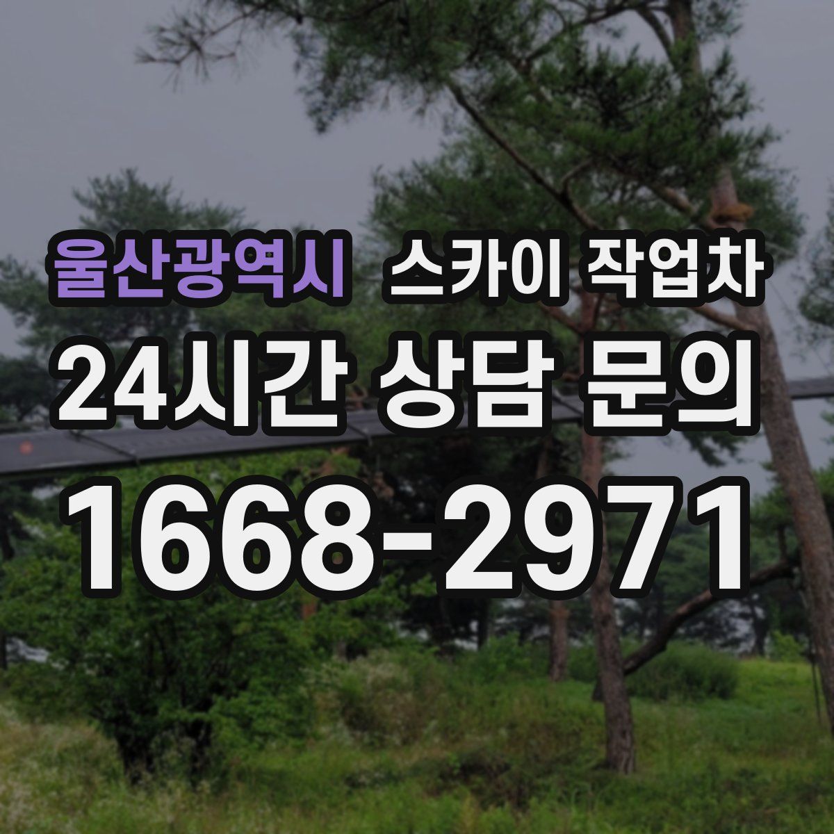 울산광역시 스카이 작업차