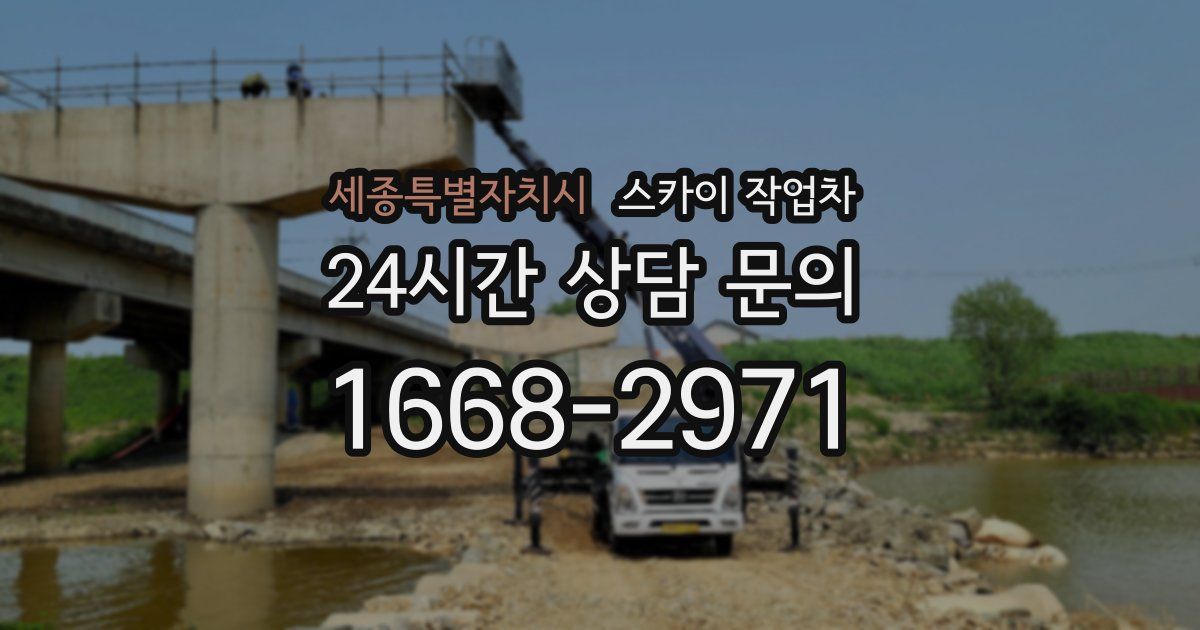 세종특별자치시 스카이 작업차
