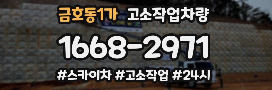 금호동1가 고소작업차량