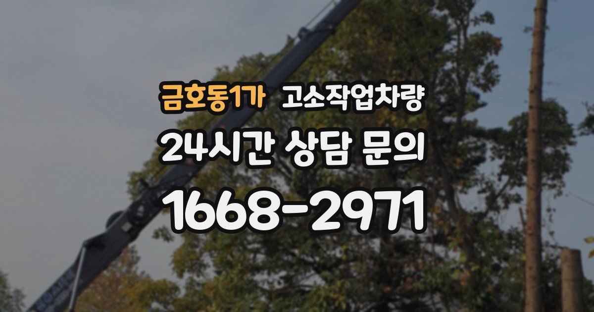 금호동1가 고소작업차량