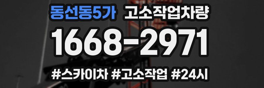 동선동5가 고소작업차량