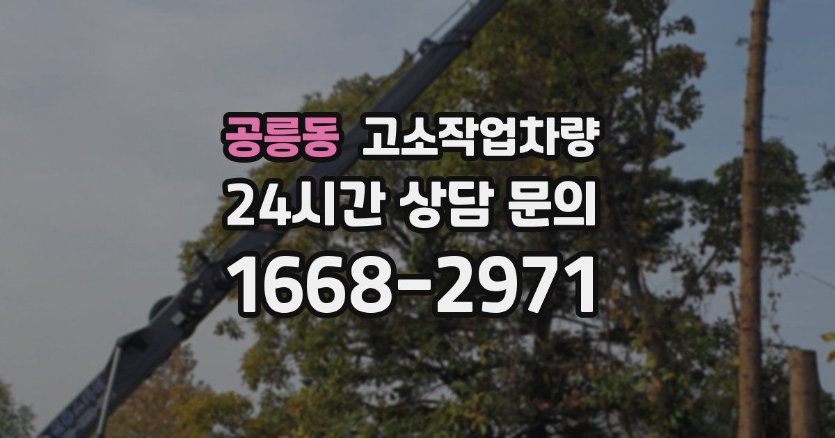 공릉동 고소작업차량