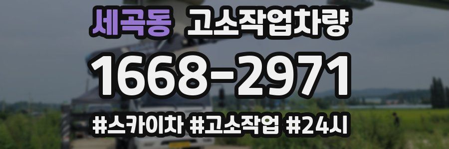 세곡동 고소작업차량