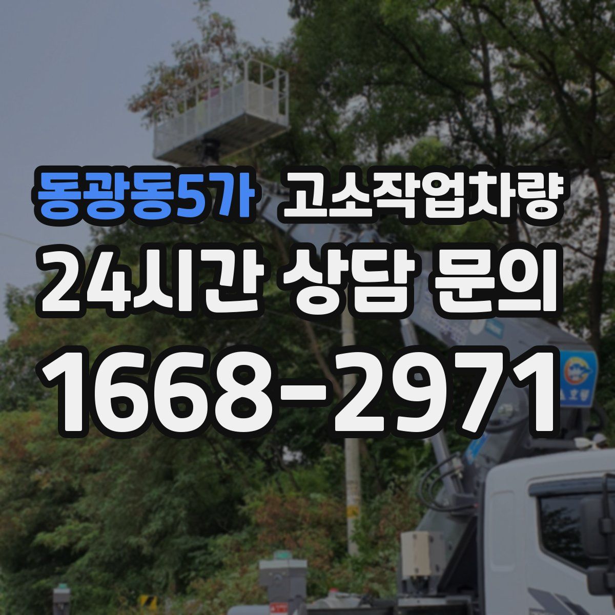 동광동5가 고소작업차량