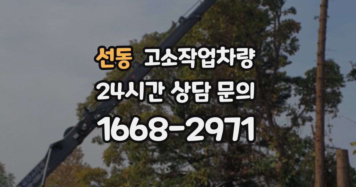 선동 고소작업차량