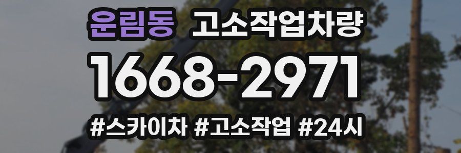 운림동 고소작업차량