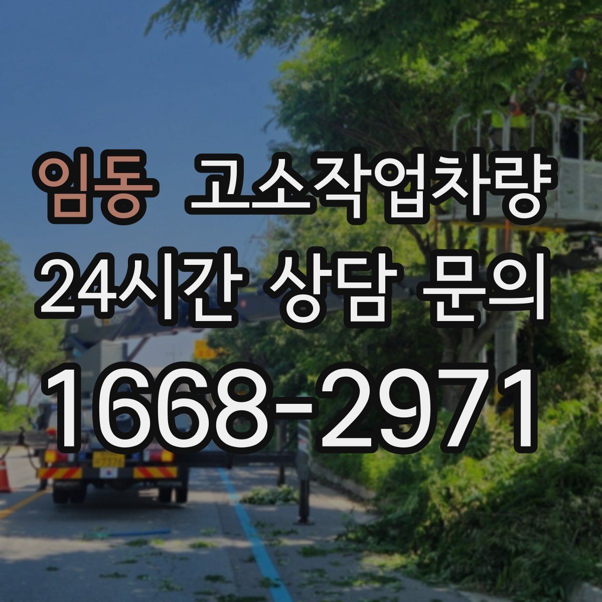 임동 고소작업차량