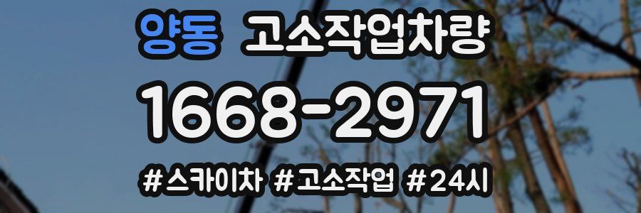 양동 고소작업차량