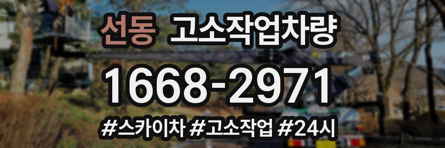 선동 고소작업차량