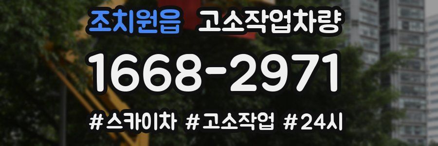 조치원읍 고소작업차량