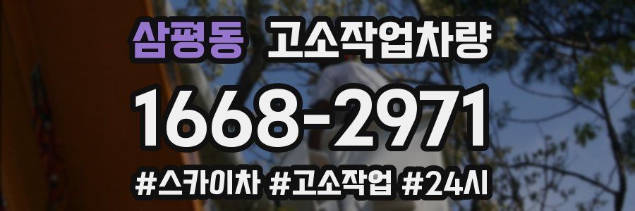 삼평동 고소작업차량