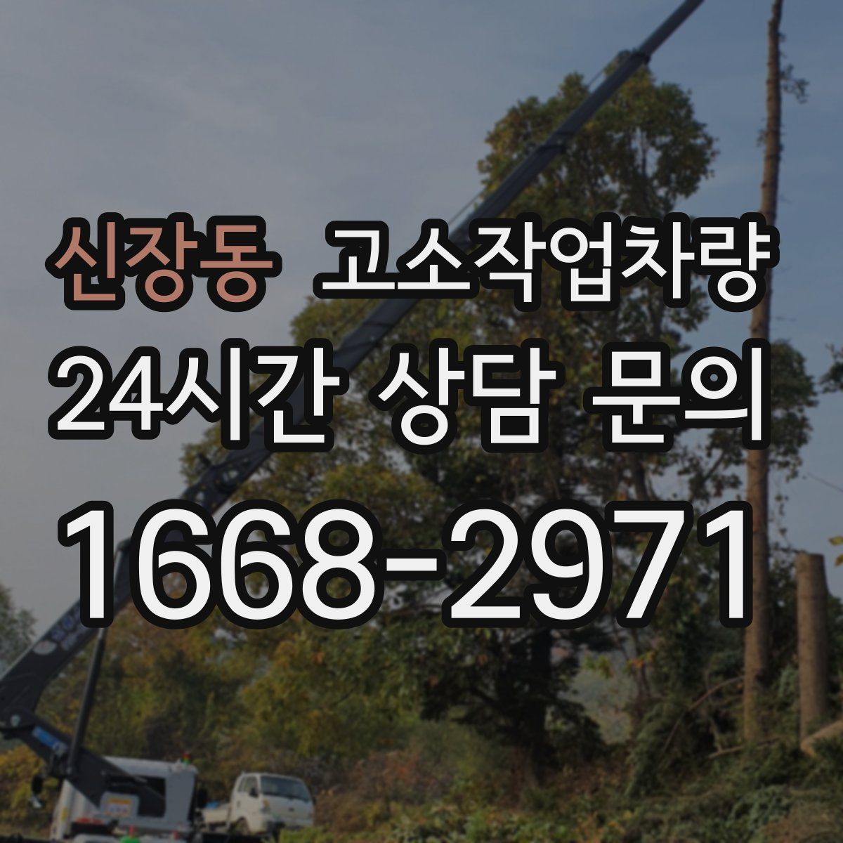 신장동 고소작업차량