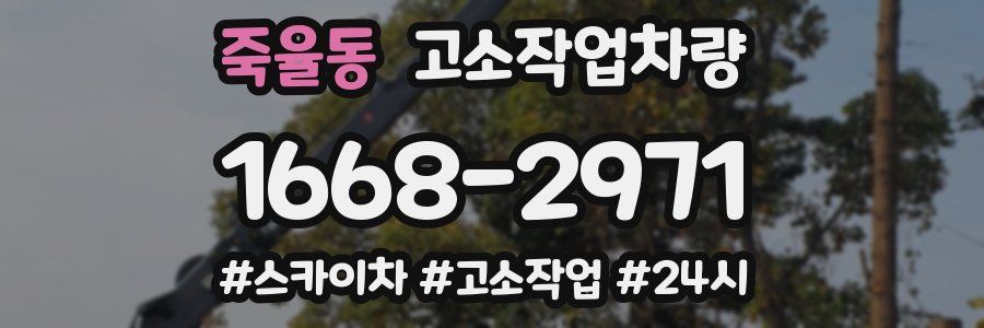 죽율동 고소작업차량