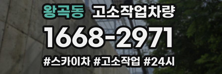 왕곡동 고소작업차량