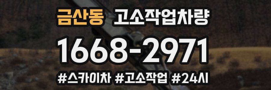 금산동 고소작업차량
