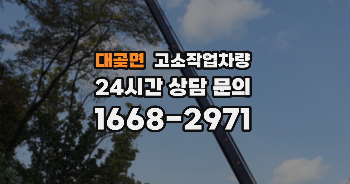 대곶면 고소작업차량