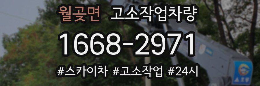 월곶면 고소작업차량