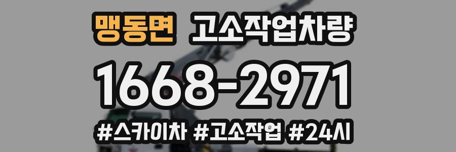 맹동면 고소작업차량