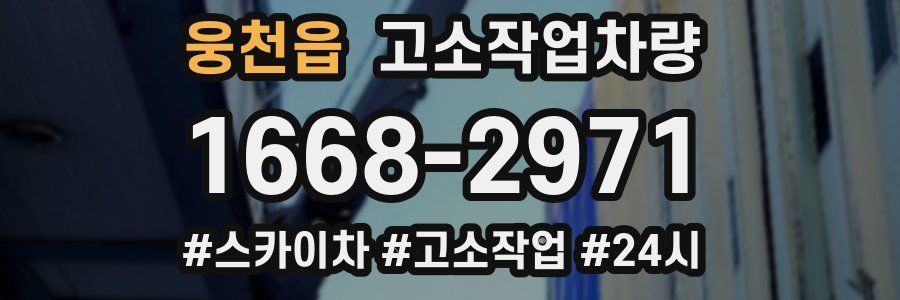 웅천읍 고소작업차량