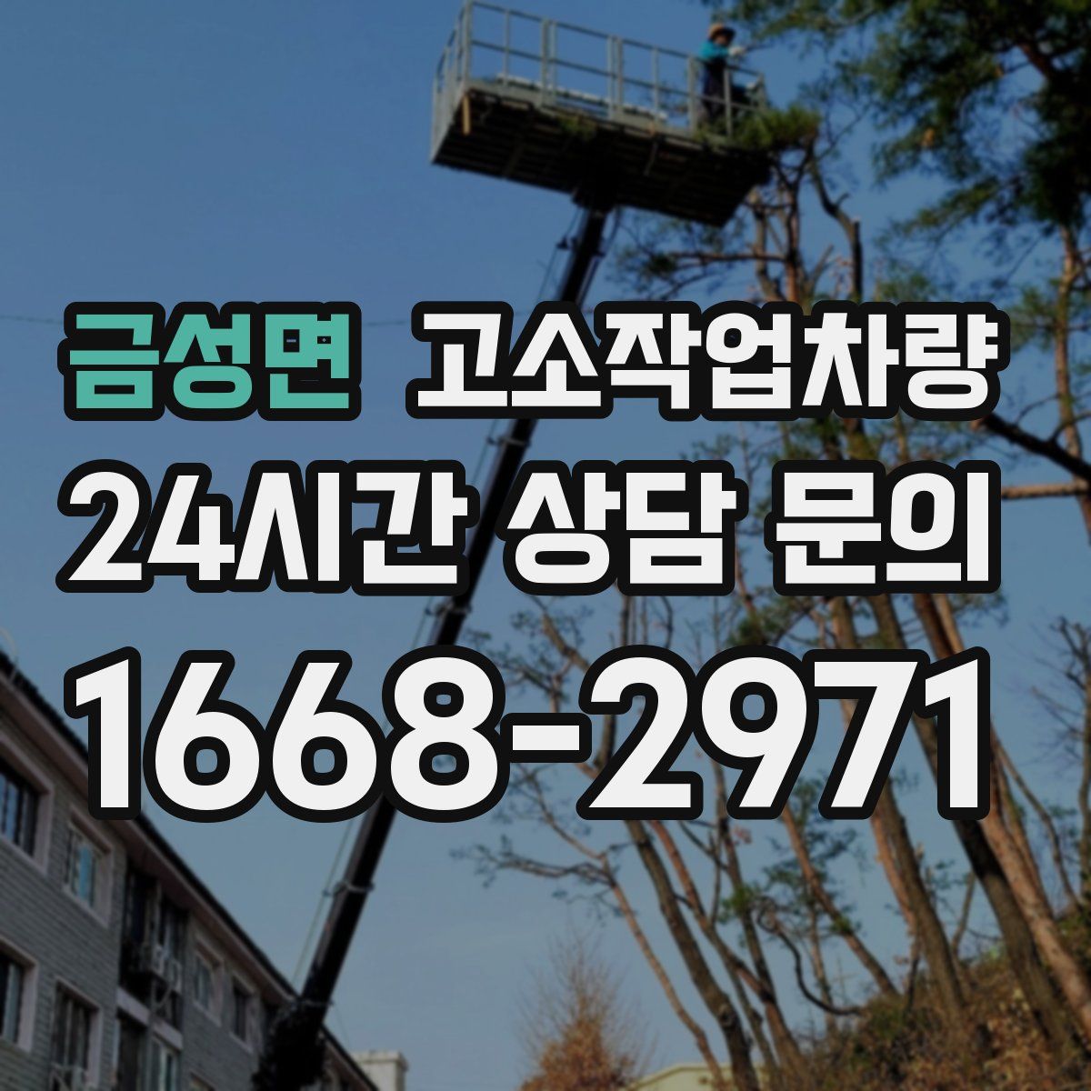 금성면 고소작업차량
