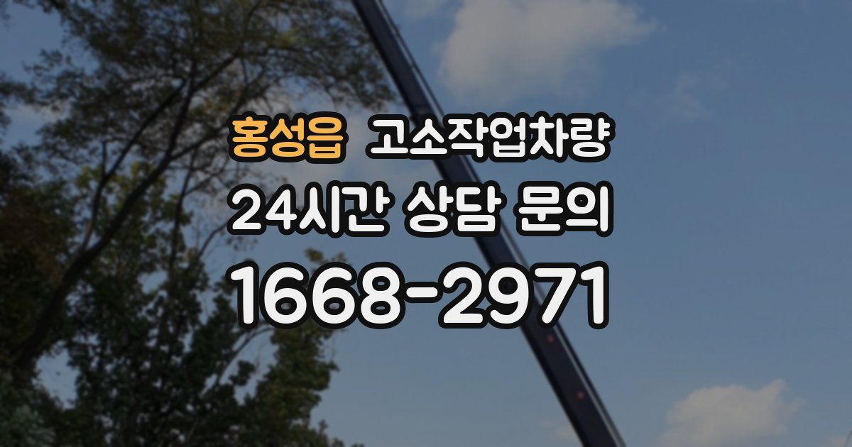 홍성읍 고소작업차량