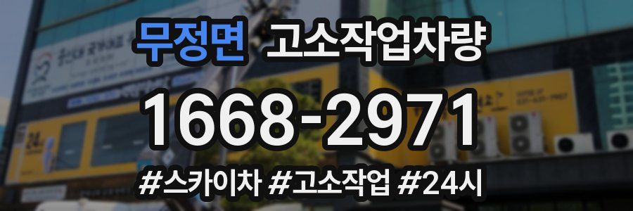 무정면 고소작업차량