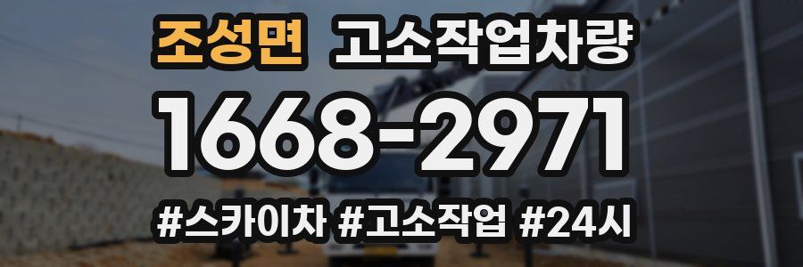 조성면 고소작업차량