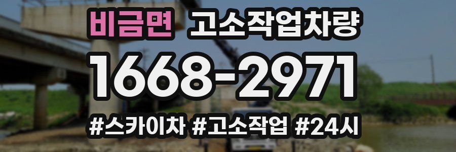 비금면 고소작업차량