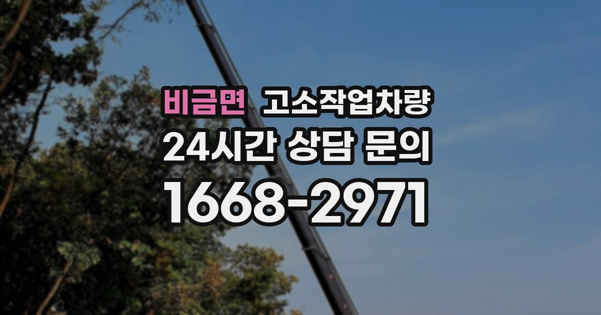 비금면 고소작업차량