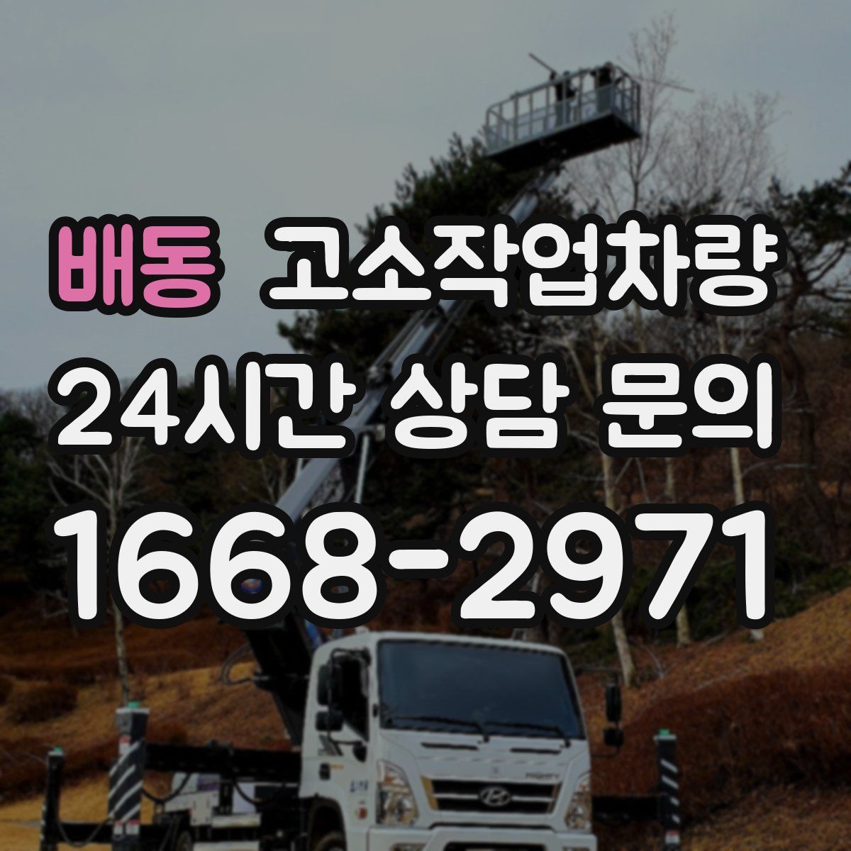 배동 고소작업차량