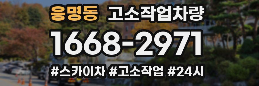 응명동 고소작업차량
