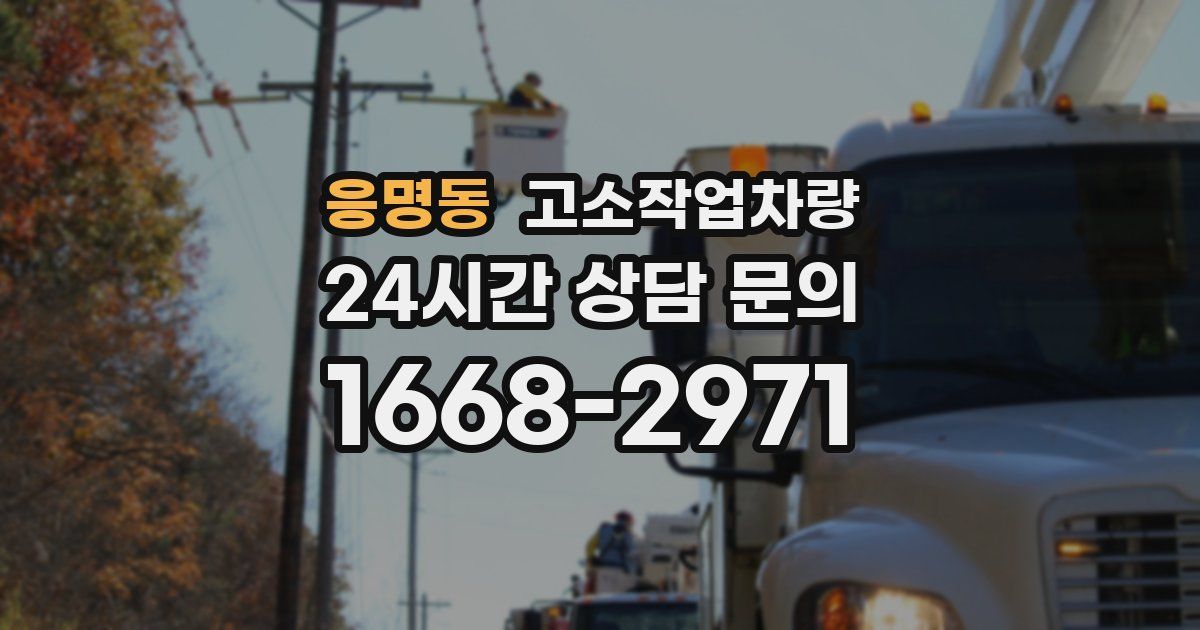 응명동 고소작업차량