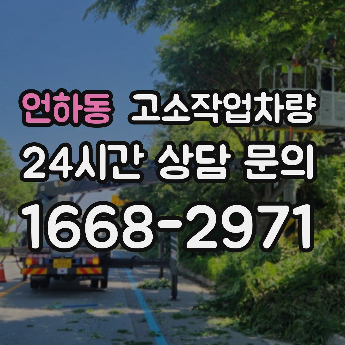 언하동 고소작업차량