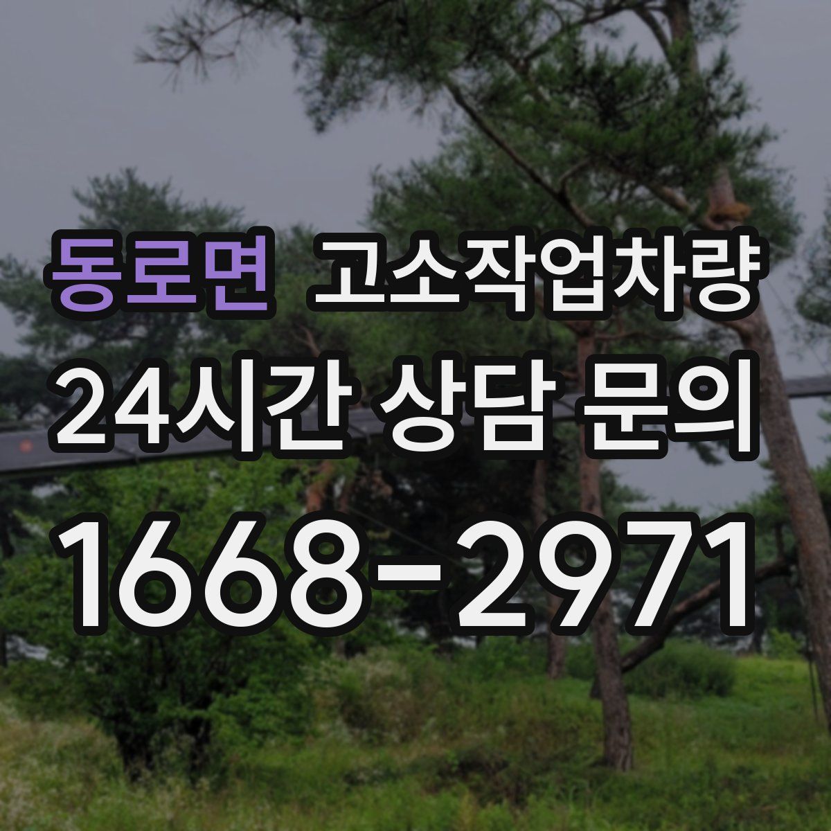 동로면 고소작업차량