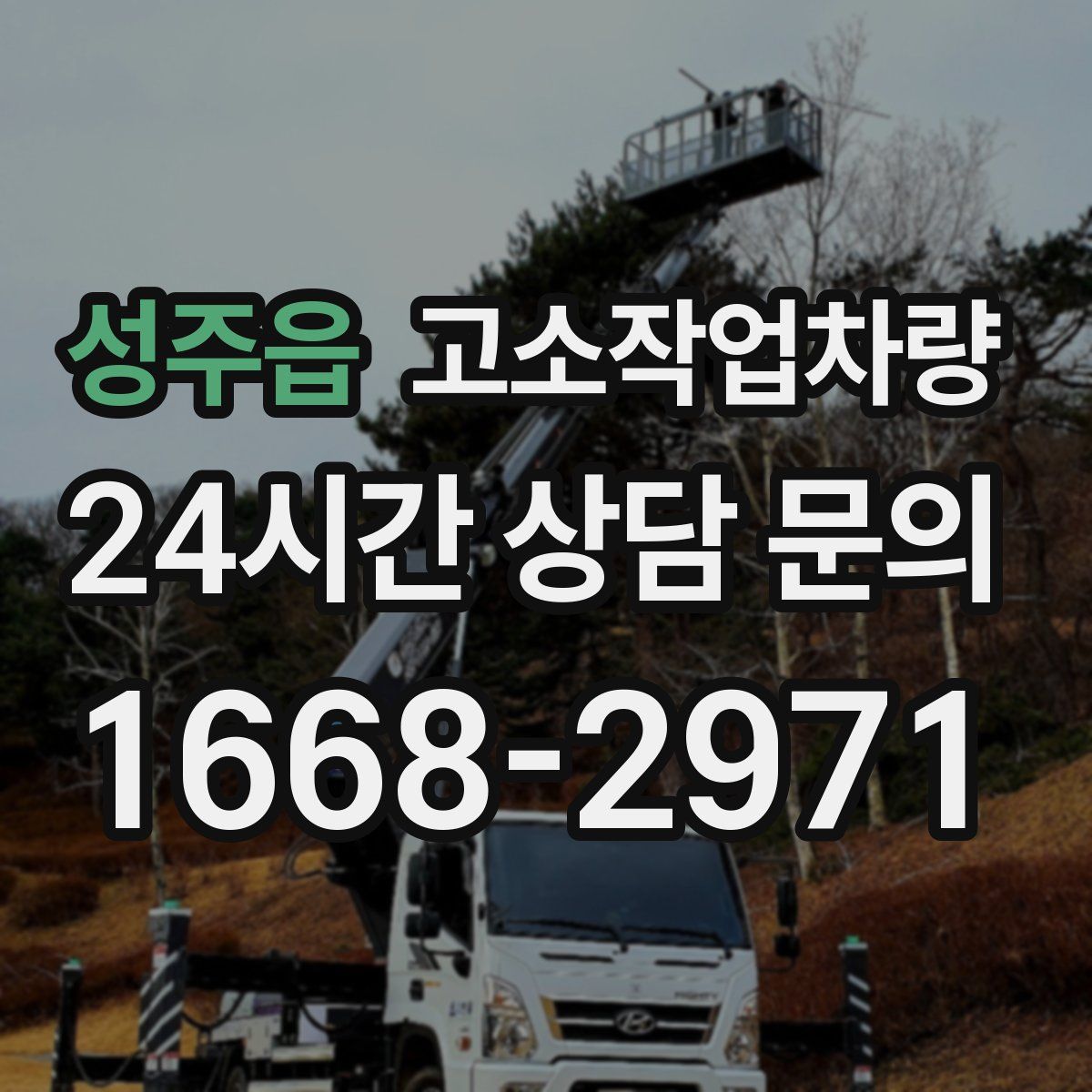 성주읍 고소작업차량