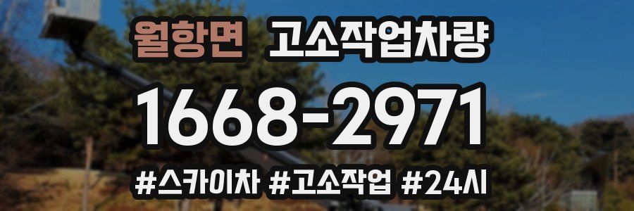 월항면 고소작업차량