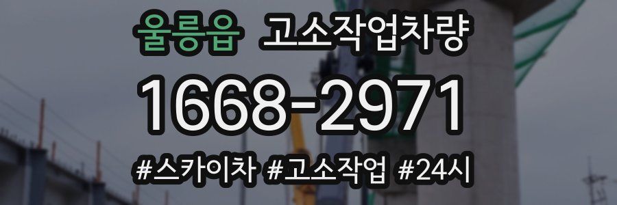 울릉읍 고소작업차량