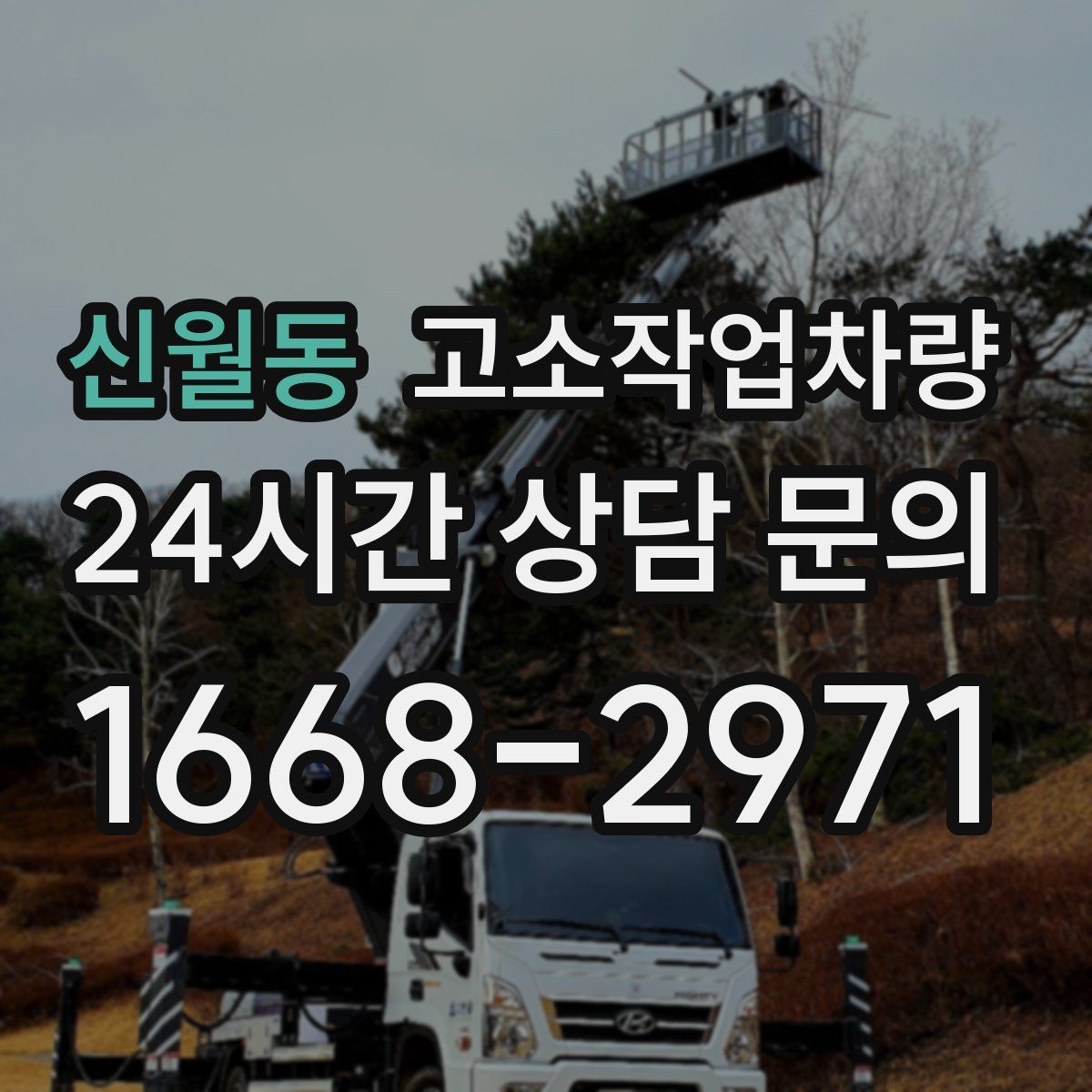 신월동 고소작업차량