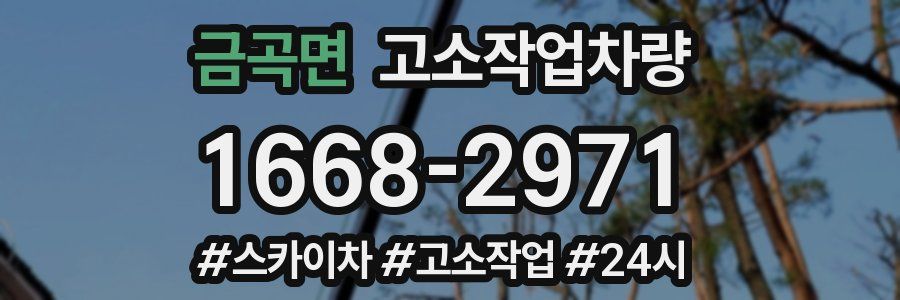 금곡면 고소작업차량