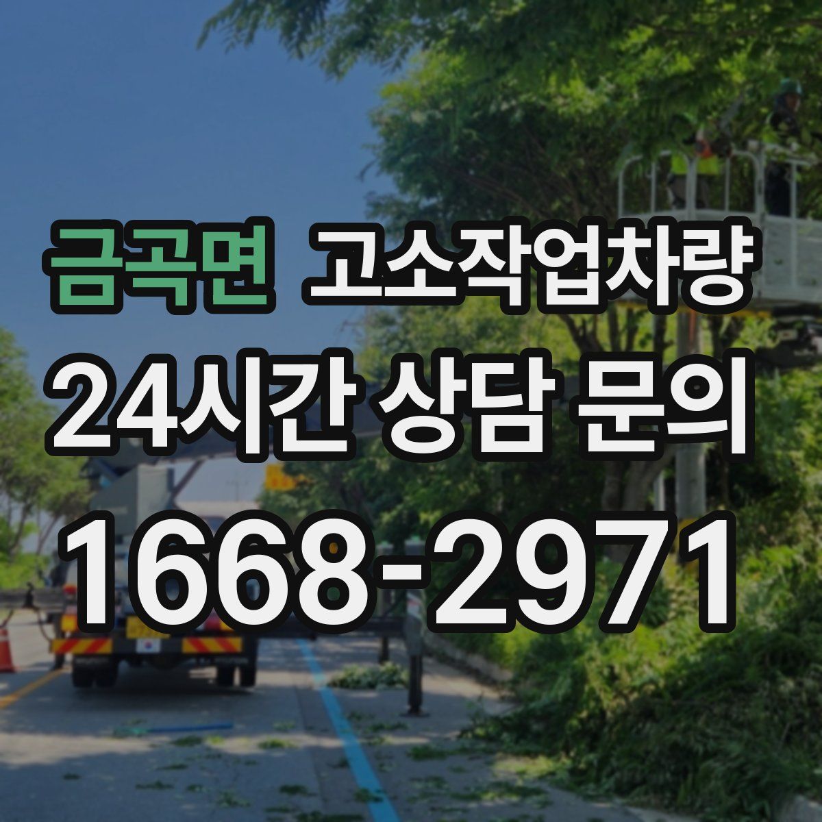 금곡면 고소작업차량