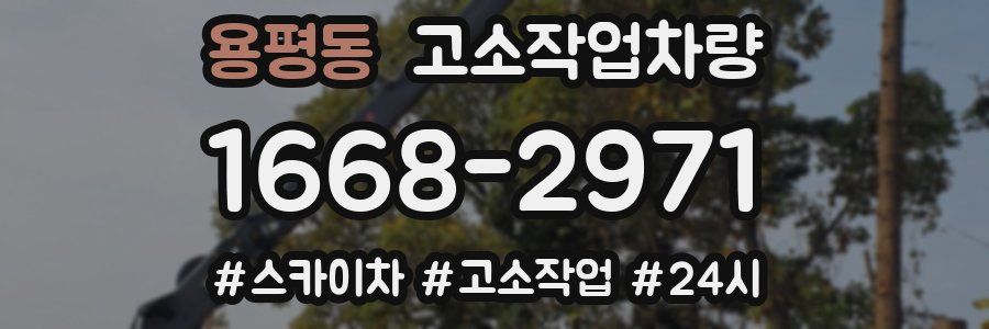 용평동 고소작업차량