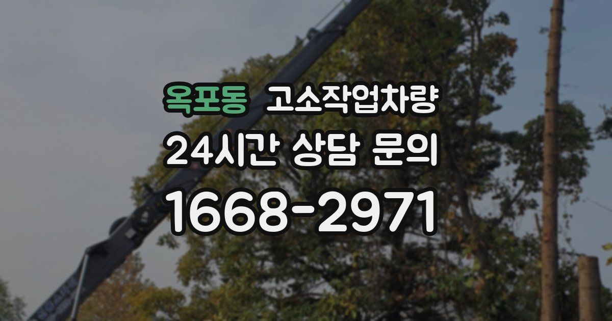 옥포동 고소작업차량